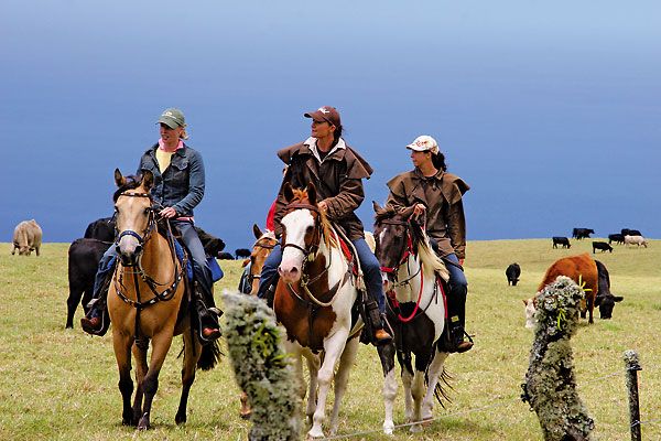 Paniolo culture comes to life on horseback tours of the 1847 Parker Ranch and 1928 Kahua Ranch.