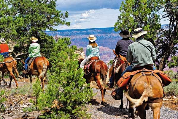 mule-train-ride_grand-canyon