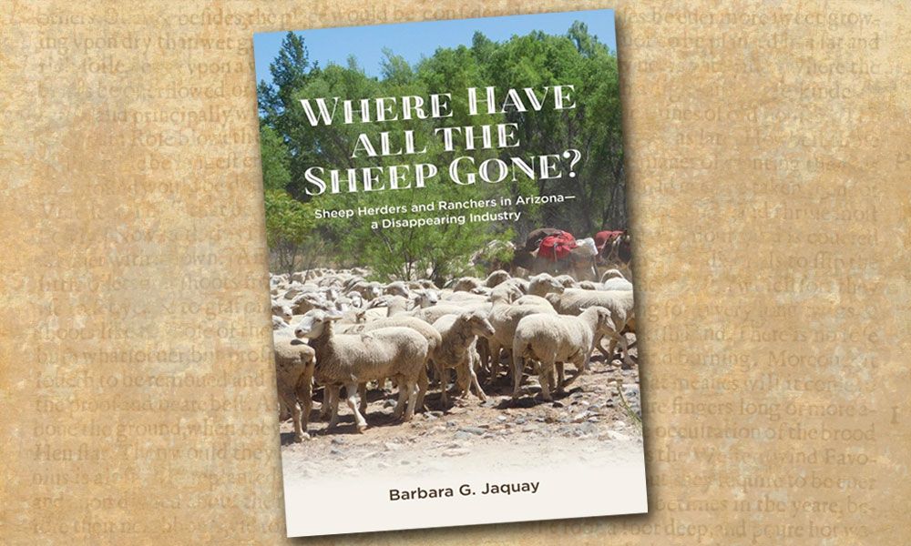 Sheep ranching Where Have All The Sheep Gone True West