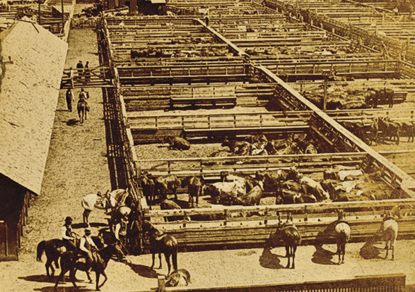 Cattle Towns True West Magazine Kansas City