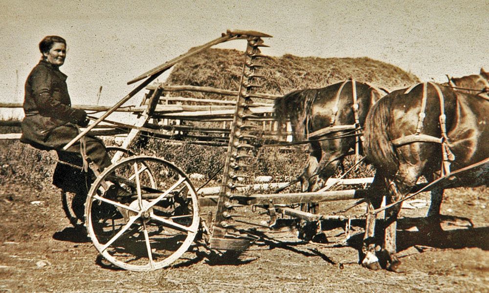 Elinore Pruitt True West Magazine Horse Drawn Carriage