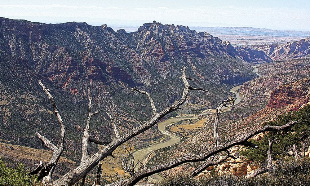 Split Mountain Canyon Wild Bunch Outlaws True West Magazine