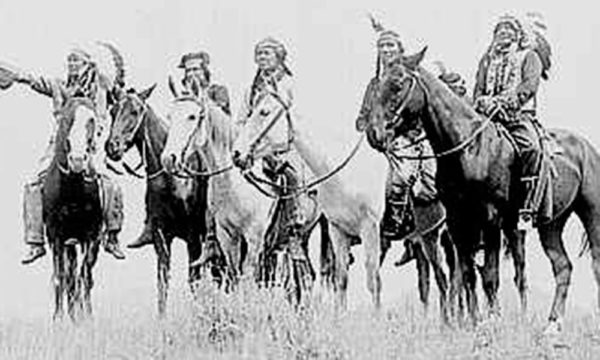 comanche tribe facts comanche tribe facts