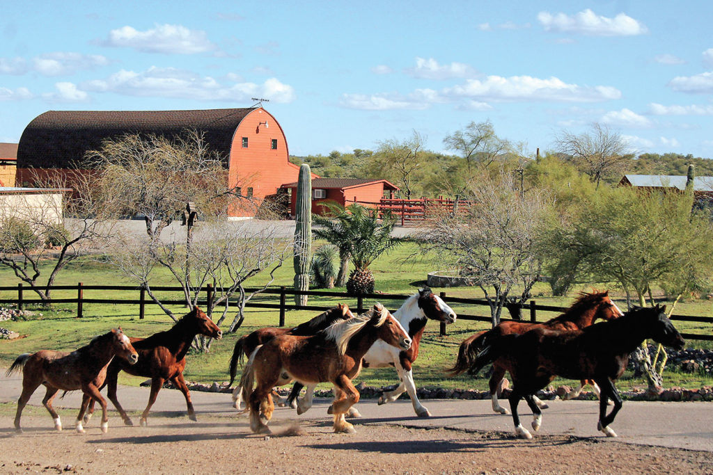 Flying E Ranch True West